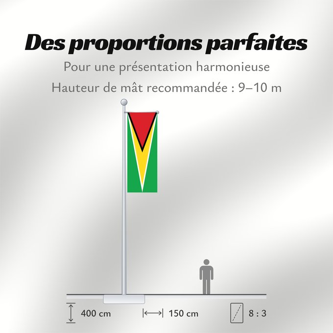 Proportions du drapeau : Guyana	Guiana	Wayana wiphala	Gujano	Gwayana	Wayana unancha	Флаг Гайаны	Guyanas	Quốc kỳ Guyana
