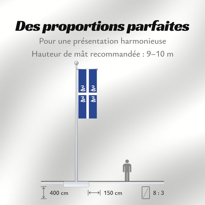 Proportions du drapeau : Martinique	Martinica