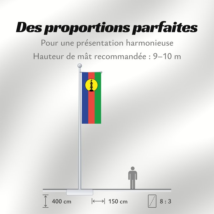 Proportions du drapeau : FLNKS	Kanak and Socialist National Liberation Front political party	Front de libération nationale kanak et socialiste	Colores Pantone http //www	Neukaledonien	Nuova Caledonia	Front d Alliberament Nacional Canac Socialista