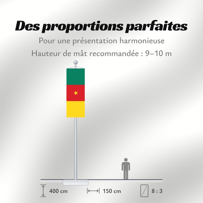 Proportions du drapeau : Cameroon	Cameroun	Camerún	Kamerun	Camerun	ক্যামেরুনের পতাকা।	Kamerunu	Kameruno	پرچم کامرون	Fändel vum Kamerun	Знаме на Камерун	Camerunului	Kameruna	Kameruns