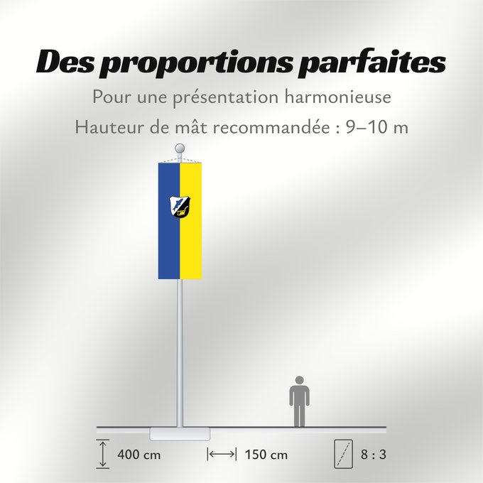 Proportions du drapeau : Petershausen (Münchener Umland)