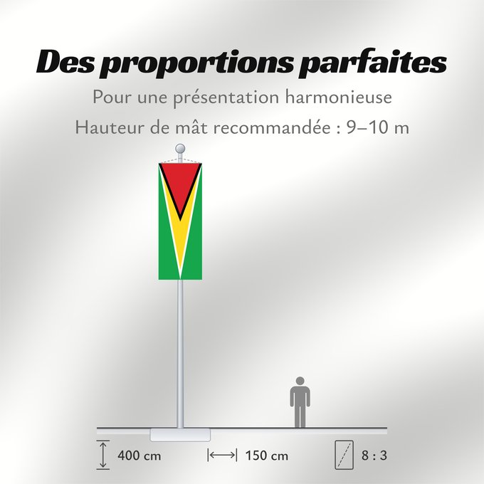 Proportions du drapeau : Guyana	Guiana	Wayana wiphala	Gujano	Gwayana	Wayana unancha	Флаг Гайаны	Guyanas	Quốc kỳ Guyana