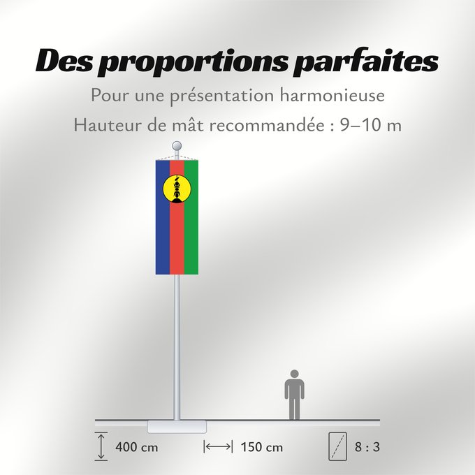 Proportions du drapeau : FLNKS	Kanak and Socialist National Liberation Front political party	Front de libération nationale kanak et socialiste	Colores Pantone http //www	Neukaledonien	Nuova Caledonia	Front d Alliberament Nacional Canac Socialista