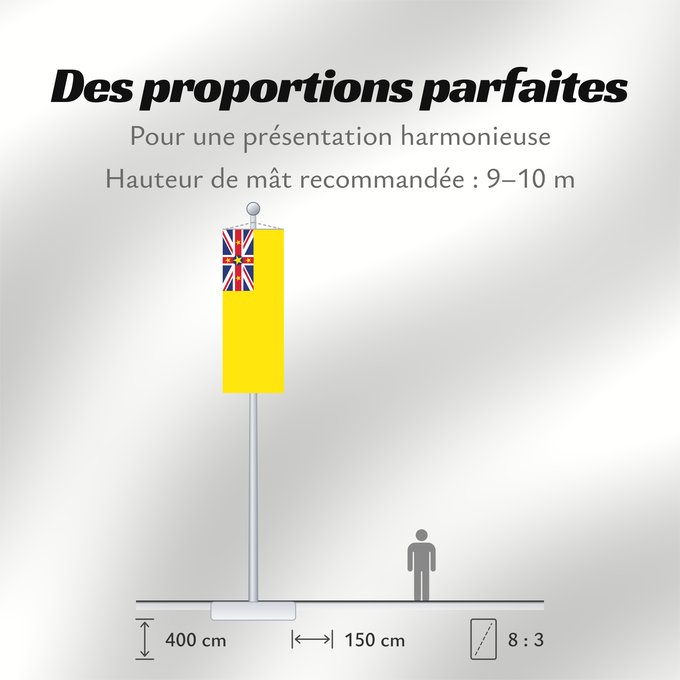 Proportions du drapeau : Niue	Niue  New Zealand	ニウエの国旗	Pīwari o Niuē