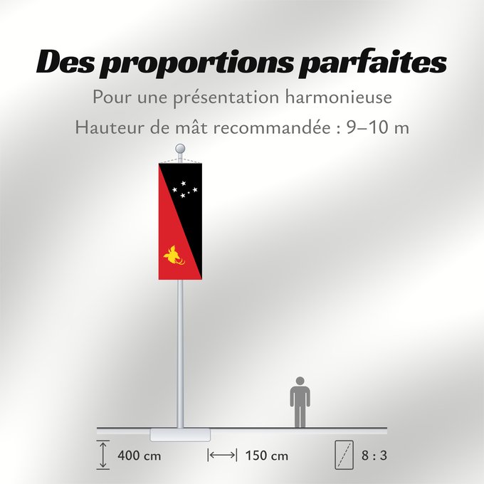 Proportions du drapeau : Papua New Guinea	Papua New GuineaColours Pantone 186 C for red and 116 C for yellow	Papouasie-Nouvelle-Guinée	Papúa Nueva Guinea	Papua-Neuguineas	Papua Nuova Guinea	Papoea-Nieuw-Guinea	Papua-Nova Guiné	Papui-Nowej Gwinei	علم بابوا غينيا الجديدة	পাপুয়া নি
