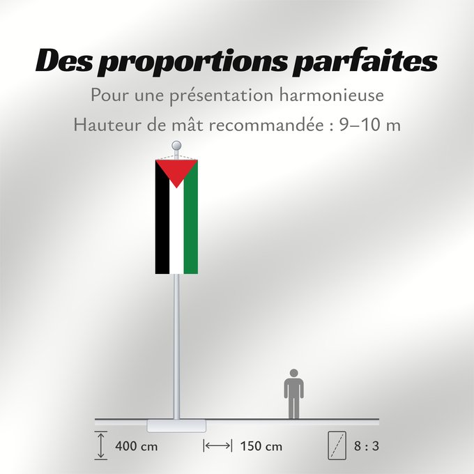Proportions du drapeau : Palestine	State of Palestine	L’État de Palestine	Estado de Palestina	Palästina	Palestina	علم فلسطين	ফিলিস্তিনের পতাকা	Palestino	Dari Negara Palestina	Флаг Государства Палестина