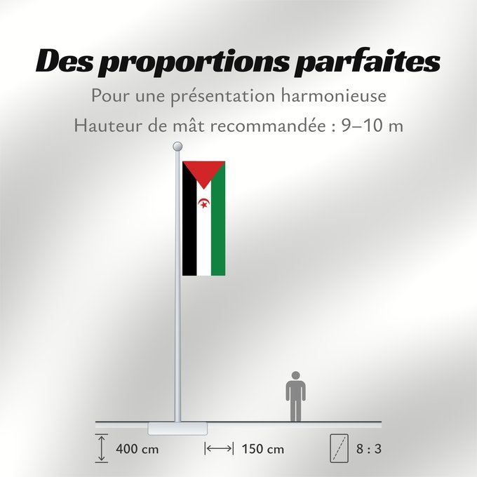 Proportions du drapeau : Sahrawi Arab Democratic Republic Western Sahara République arabe sahraouie démocratique República Árabe Saharaui Democrática Demokratischen Arabischen Republik Sahara Repubblica Democratica Araba Sahrawi Arabische Democratische Republiek Sahara República