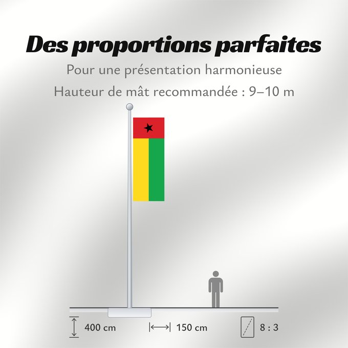 Proportions du drapeau : Guinea-Bissau	Guinée-Bissau	Guinea-Bissaus	Guiné-Bissau	Gvineo Bisaŭa	پرچم گینه بیسائو	Флаг Гвинеи-Бисау	Gvineje Bissau