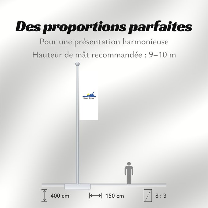 Proportions du drapeau : Réunion