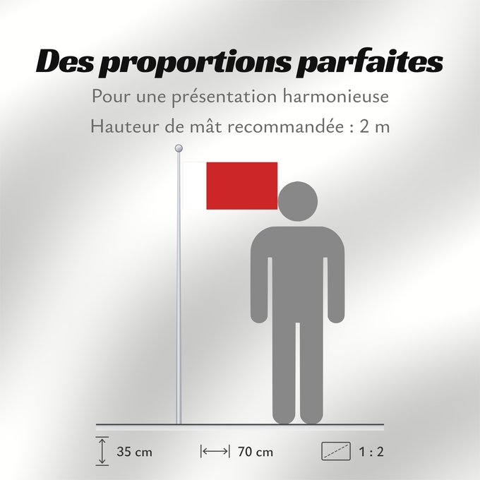 Proportions du drapeau : Dubai Dubaï