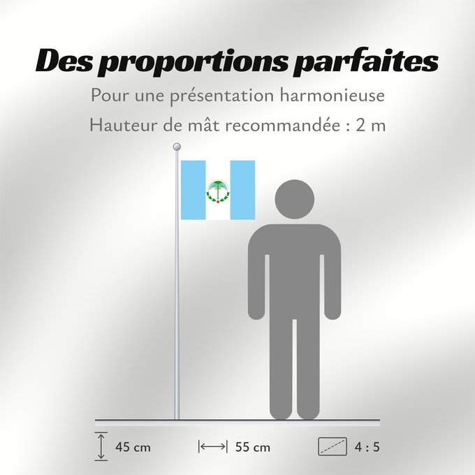 Proportions du drapeau : Neuquén