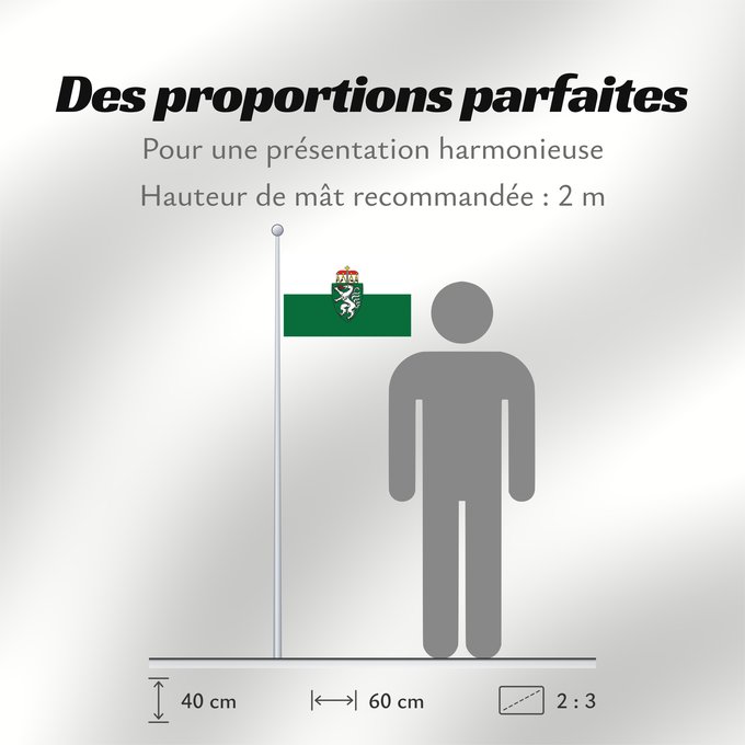 Proportions du drapeau : Styria White-green. Colours of the state of Styria Styrie Estiria Weiß-grün. Landesfarben der Steiermark Stiria