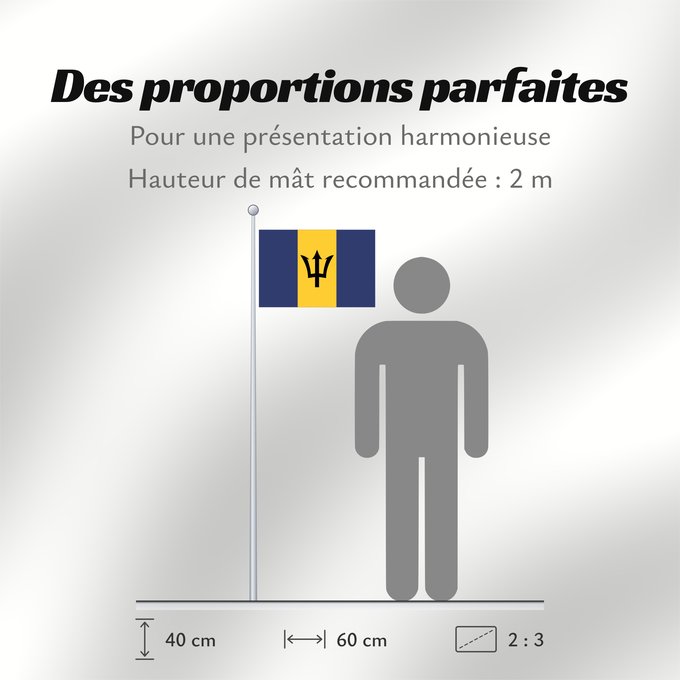 Proportions du drapeau : Barbados Barbade Barbado Barbadoksen Ala Barbadosê Флаг Барбадоса Barbadosa