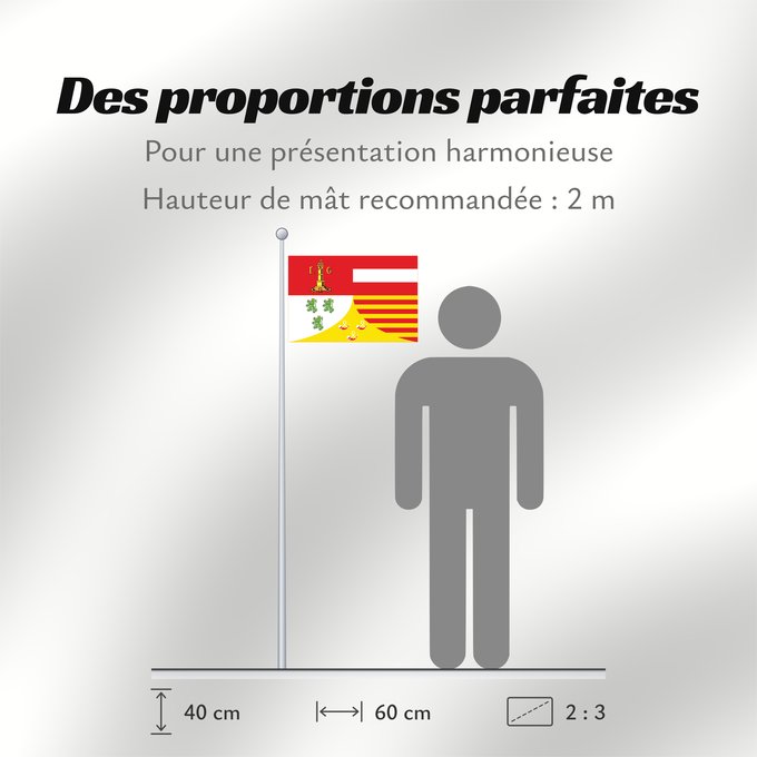 Proportions du drapeau : Liège (fr)