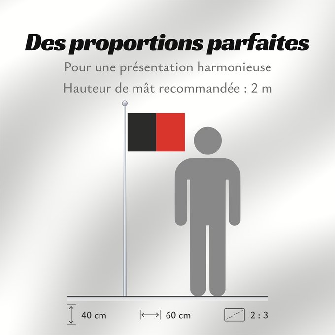 Proportions du drapeau : Namur Province Namur Shows the flag of the province of Namur in Belgium