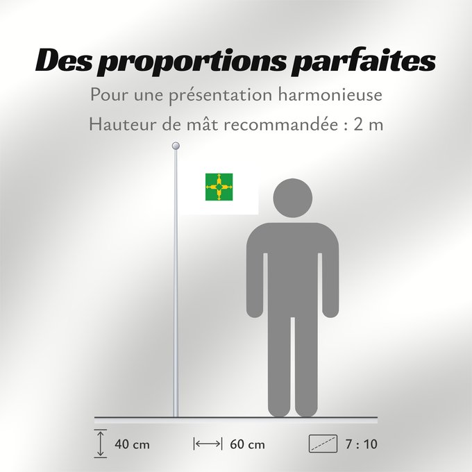 Proportions du drapeau : Distrito Federal