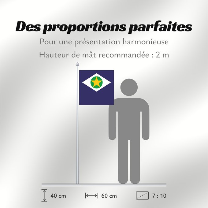 Proportions du drapeau : Mato Grosso	State of Mato Grosso, Brazil	Mato Grueso	Mato Grosso, Brasil
