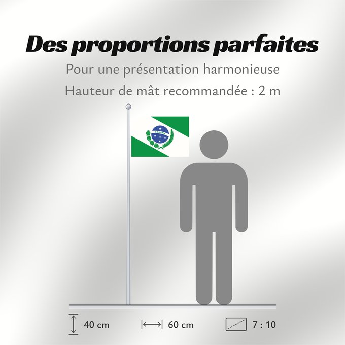 Proportions du drapeau : Paraná