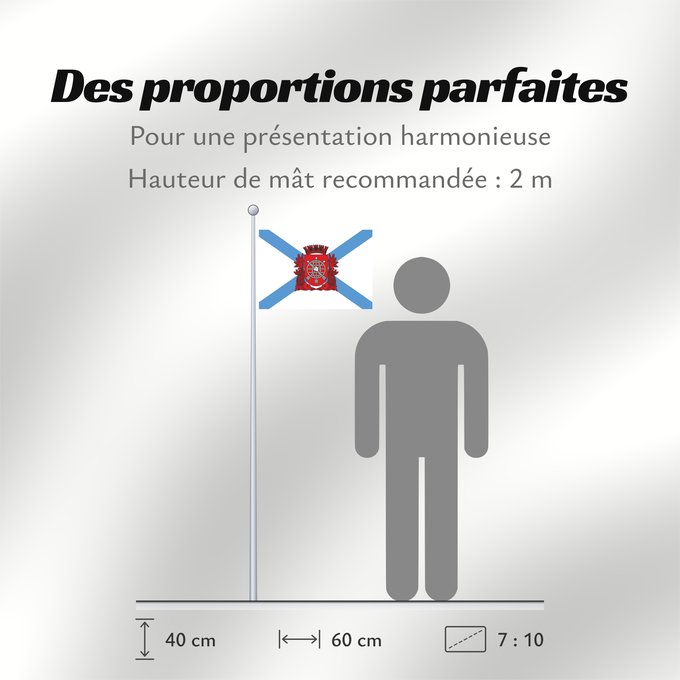 Proportions du drapeau : Cidade do Rio de Janeiro City of Rio de Janeiro Rio de Janeiro Río de Janeiro Stadt Rio de Janeiro