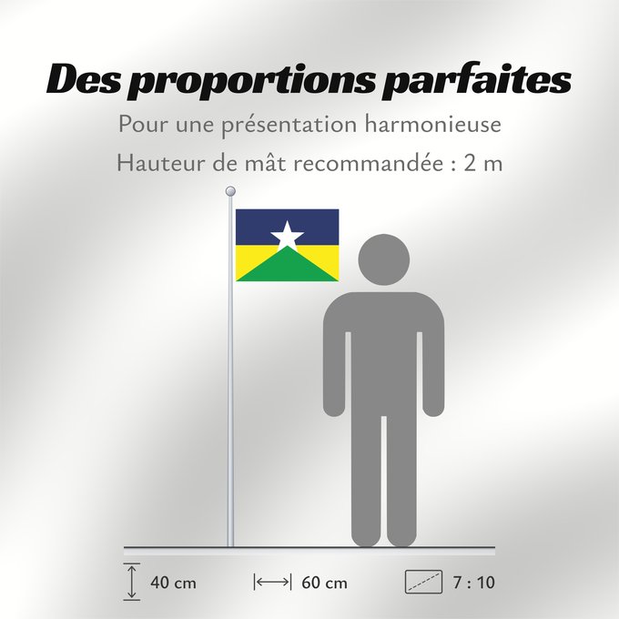 Proportions du drapeau : Rondônia