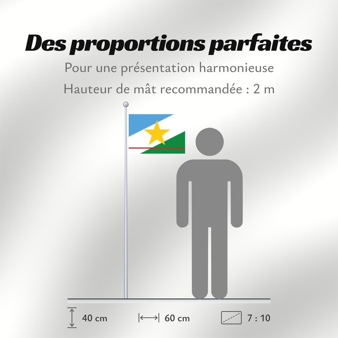 Proportions du drapeau : Roraima