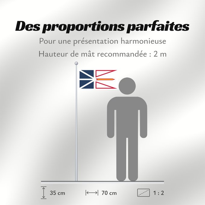 Proportions du drapeau : Newfoundland and Labrador	Terre-Neuve-et-Labrador	Terranova y Labrador	Neufundland und Labrador	Terranova	Banniel Douar-Nevez ha Labrador