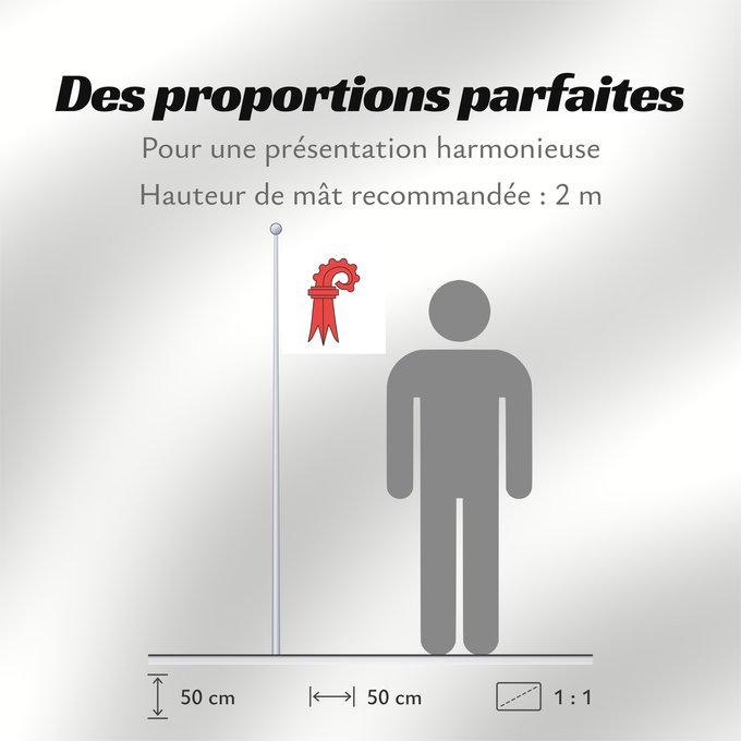 Proportions du drapeau : Canton of Basel Land Basel-Landschaft Bâle-Campagne Basilea-Campiña o Basilea-Campaña Canton of Basel Country Basel Landschaft/Bâle Campagne