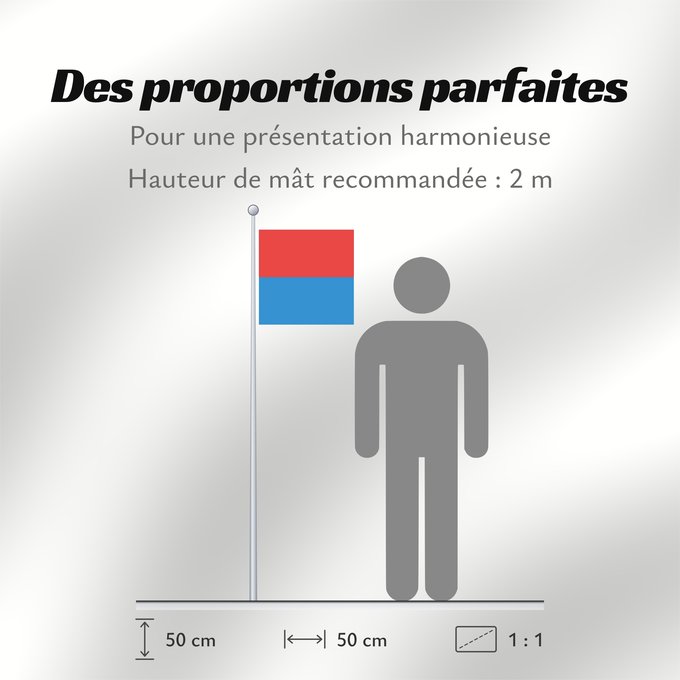 Proportions du drapeau : Canton of Tessin	Canton Ticino or Ticino	canton du Tessin	Cantón del Tesino	Ticino	Canton of Tessin  Switzerland