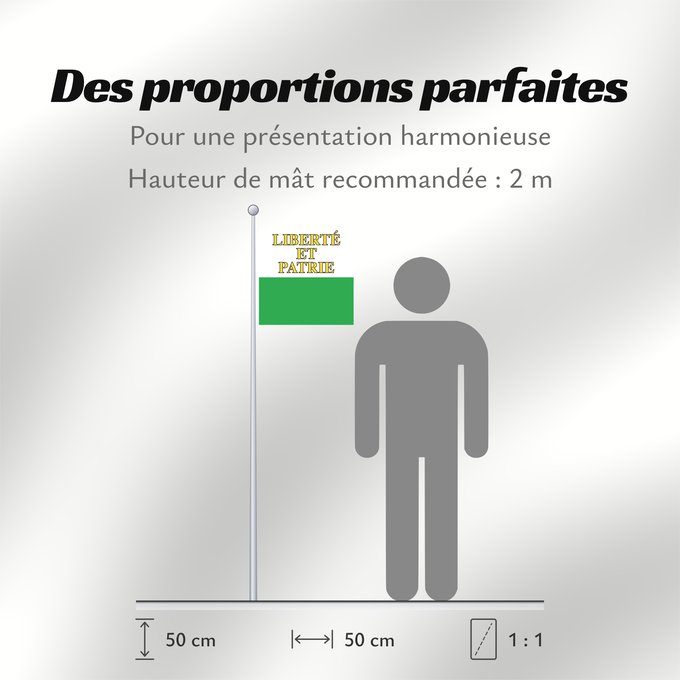 Proportions du drapeau : Canton of Vaud Vaud canton de Vaud República y cantón de Vaud Vaud