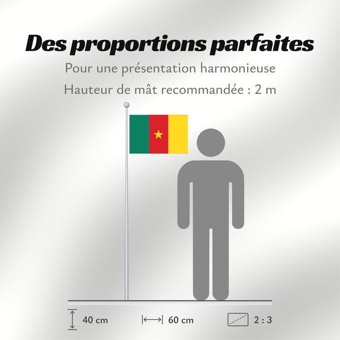 Proportions du drapeau : Cameroon	Cameroun	Camerún	Kamerun	Camerun	ক্যামেরুনের পতাকা।	Kamerunu	Kameruno	پرچم کامرون	Fändel vum Kamerun	Знаме на Камерун	Camerunului	Kameruna	Kameruns