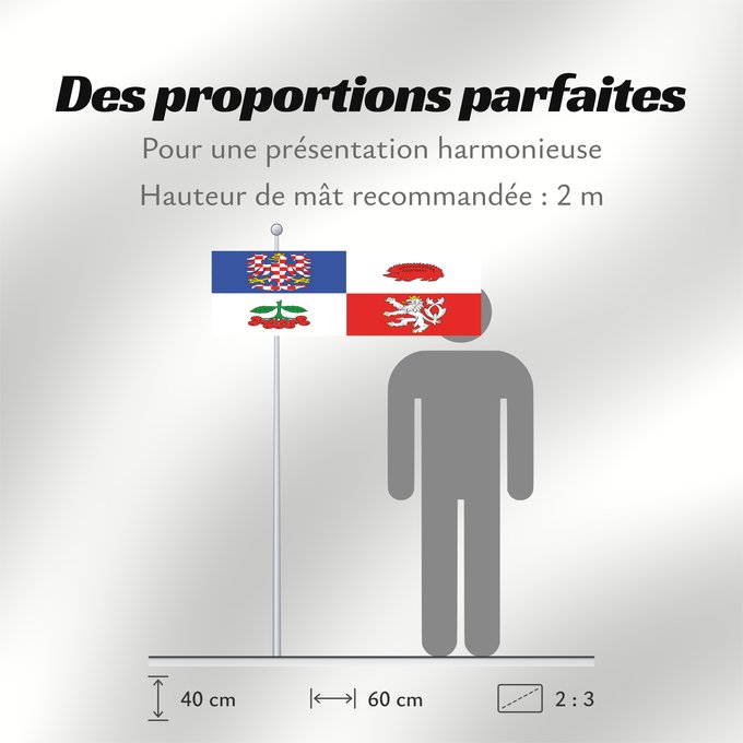 Proportions du drapeau : Vysocina Region	Vysočina Region	Région de Vysočina	Región de Vysočina	Region Vysočina