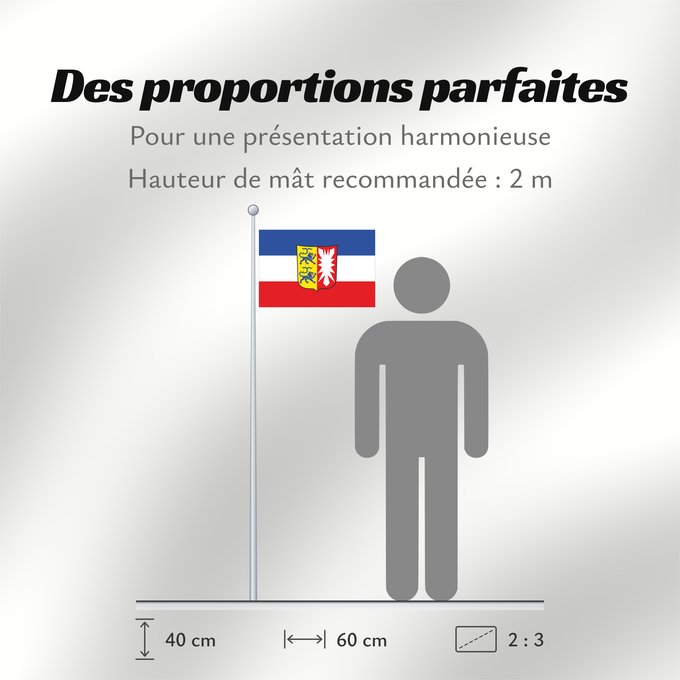 Proportions du drapeau : Schleswig-Holstein