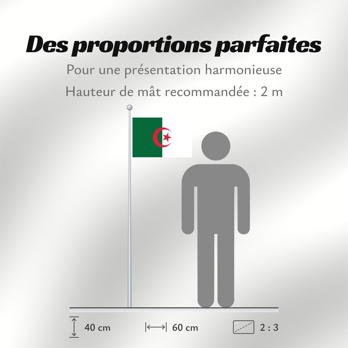 Proportions du drapeau : Algeria L Algérie Argelia Algerien Dell Algeria Algerije Argélia Algierii Vo Algérie علم الجزائر Σημαία της Αλγερίας Alĝerio Algerian דגל אלג יריה Algéria Aljazair アルジェリアの国旗 Asenǧaq n Dzayer 알제리의 국기 Drapèu d Argeria Флаг Алжира Alžirije Algeriets ⴰⵏⴰⵢ ⴰⴷⵣ