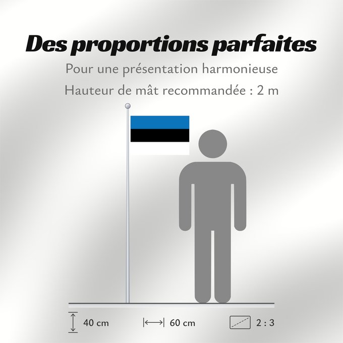 Proportions du drapeau : Estonia L Estonie Estland Estone Estónia Estonii Сцяг Эстоніі Национално знаме на Естония Estonská vlajka Σημαία της Εσθονίας Eesti lipp پرچم کشور استونی Viron HEastóine Észtország エストニアの国旗 ესტონეთის დროშა Estijos Igaunijas Знаме на Естонија Estoniei Флаг
