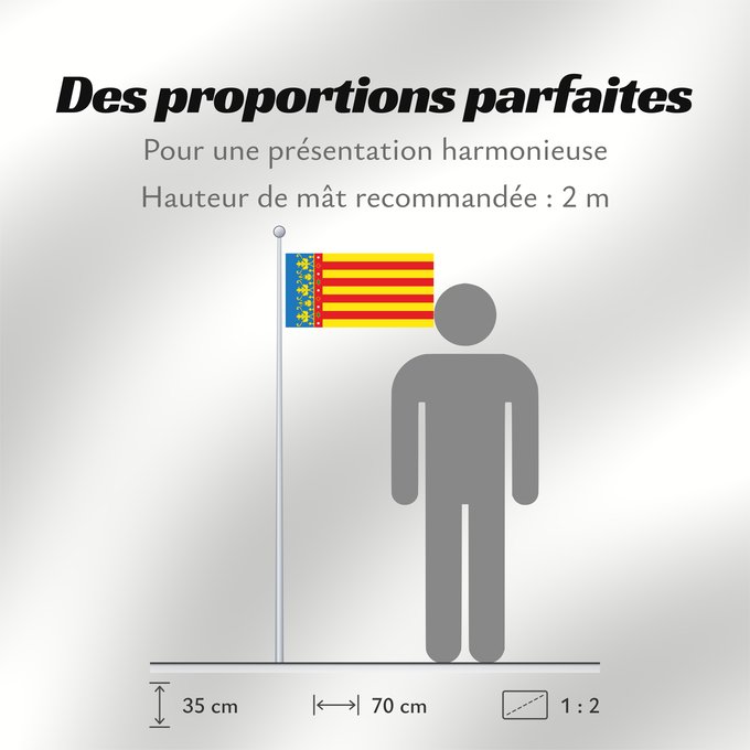 Proportions du drapeau : Land of Valencia  official	Land of Valencia, 1 2 ratio	Valencia Community	Comunidad Valenciana, proporciones 1 2	Valencian Community	Comunità Valenciana	D o Comunidat Balenziana	Comunidá Valenciana	Comunitat Valenciana, proporcions 1 2	Valentziako Erkideg