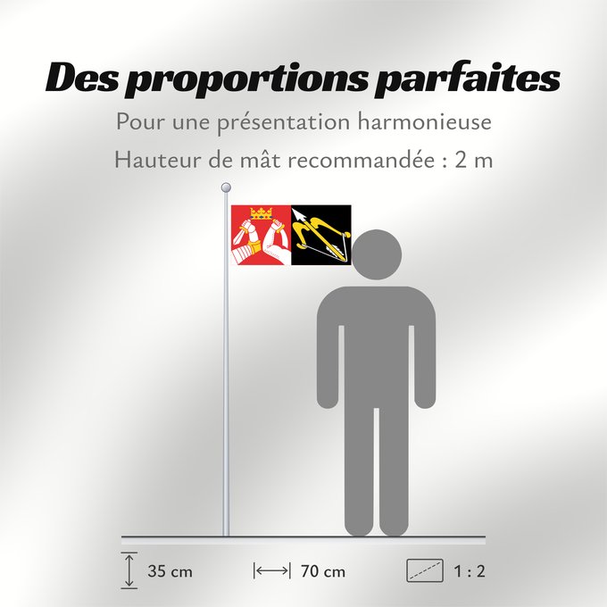 Proportions du drapeau : Itä-Suomen lääni