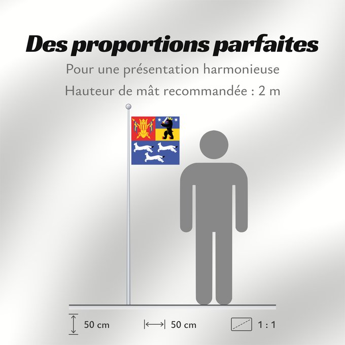 Proportions du drapeau : Länsi-Suomen lääni