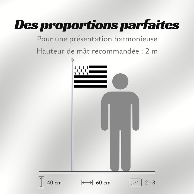 Proportions du drapeau : Brittany	The Gwenn-ha-du, flag of Brittany	Le Gwenn-ha-du, drapeau de la Bretagne	Spaniel Bretón	Bretagna	Ar Gwenn-ha-du, banniel Breizh