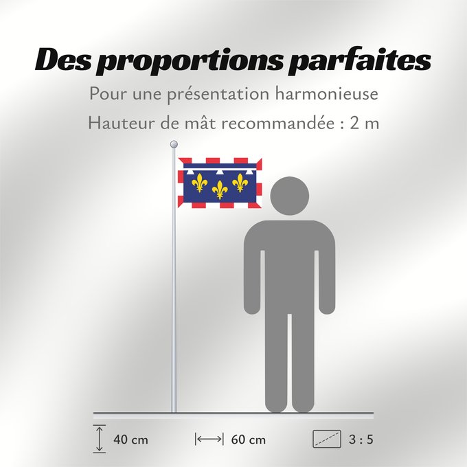 Proportions du drapeau : Centre-Val de Loire Unofficial flag of Centre region in France Non-officiel de la région Centre-Val de Loire en France Centro Centre Banniel anofisiel Kreiz-Traoñ al Liger e Frañs