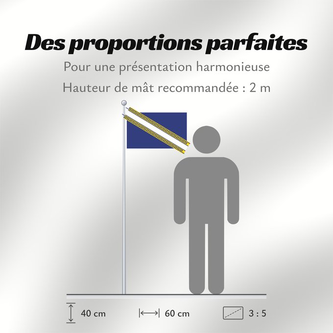 Proportions du drapeau : Champagne-Ardenne Region Champagne-Ardenne in France Région Champagne-Ardenne en France Champaña-Ardenas
