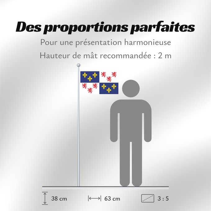 Proportions du drapeau : Picardie	Region Picardie in France	Région Picardie en France	Picardo	Picard