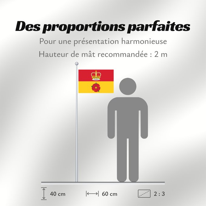 Proportions du drapeau : Hampshire	Hampshire County Council