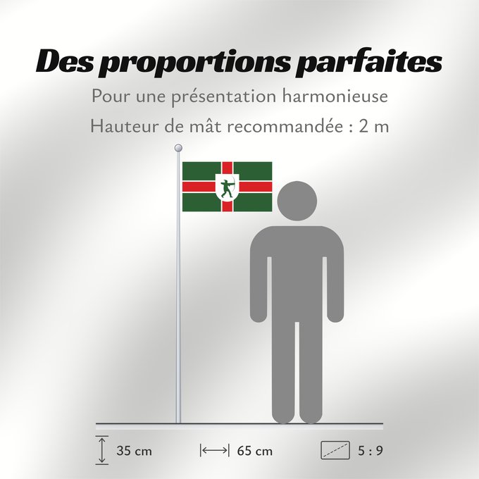 Proportions du drapeau : County Flag of Nottinghamshire	Nottinghamshire	Snotingahāmscīre fana