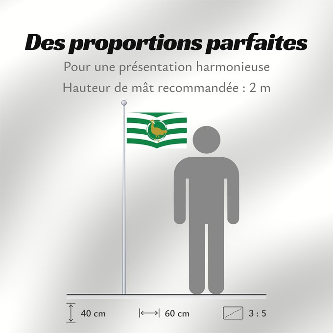 Proportions du drapeau : Windsor and Maidenhead