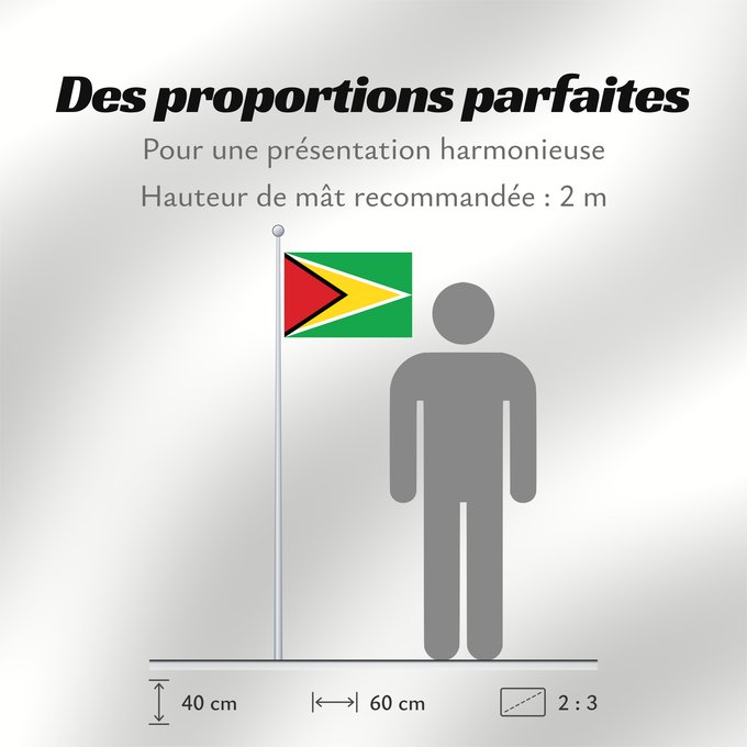 Proportions du drapeau : Guyana	Guiana	Wayana wiphala	Gujano	Gwayana	Wayana unancha	Флаг Гайаны	Guyanas	Quốc kỳ Guyana