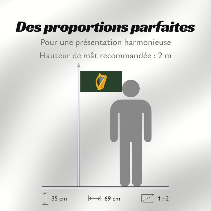 Proportions du drapeau : Leinster	W Leinster