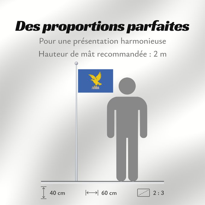 Proportions du drapeau : Friuli-Venezia Giulia