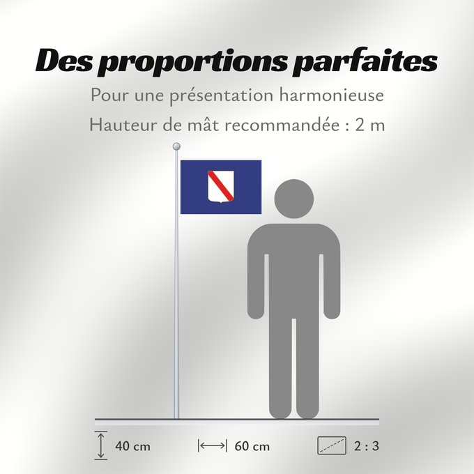 Proportions du drapeau : Campania	Campania’s	région de Campanie	Regione italiana Campania	Bannera dâ Campania