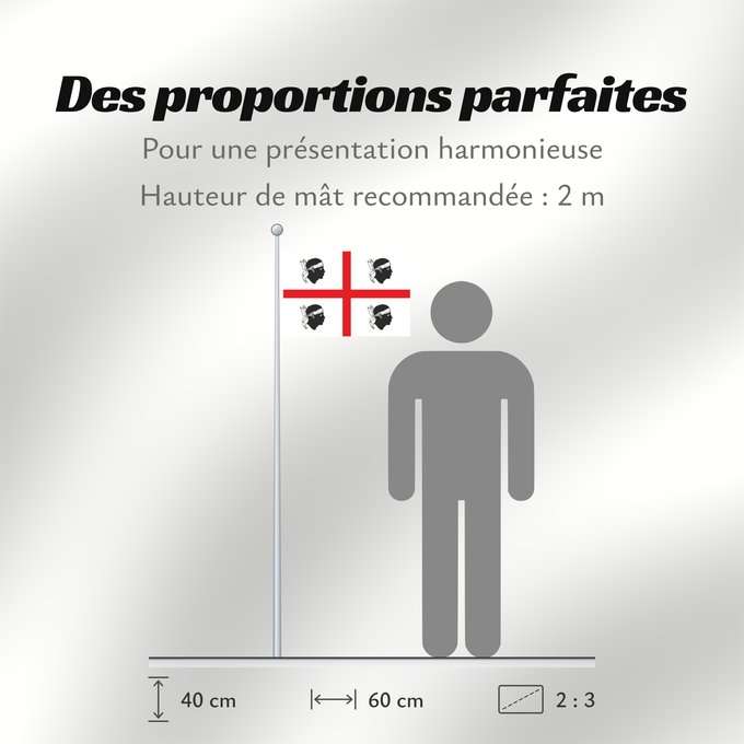 Proportions du drapeau : Sardinia, Italy	Italian autonomous region Sardinia	Sardinia	Regione autonoma italiana Sardegna	Sa regione autònoma de sa Sardinna