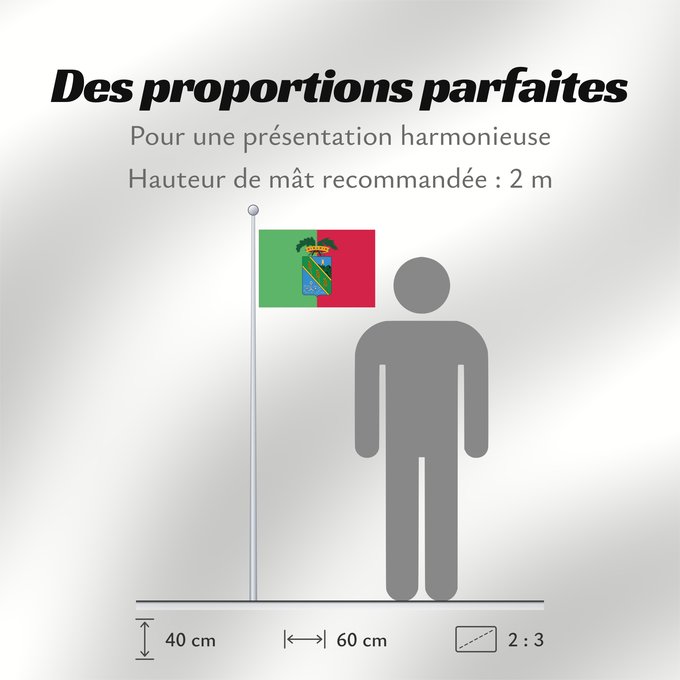 Proportions du drapeau : Latina Province of Latina Province de Latina Provincia de Latina Provinz Latina Provincia di Latina